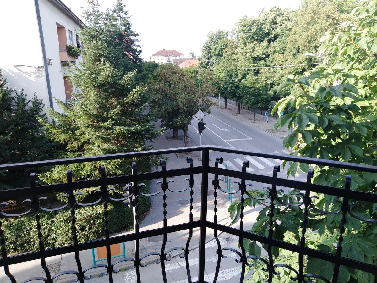 Vila Veliki Park Šabac Exteriér fotografie